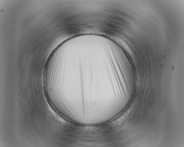 X0000088360847200706121053