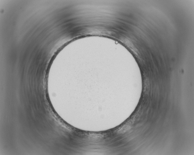 X0000088360848200706121053