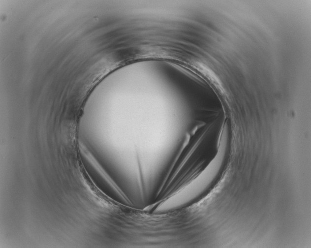 X0000088360849200706121053