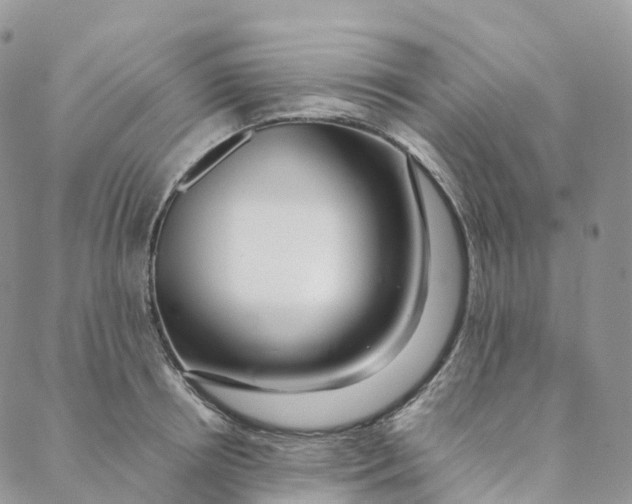 X0000088360850200706121053