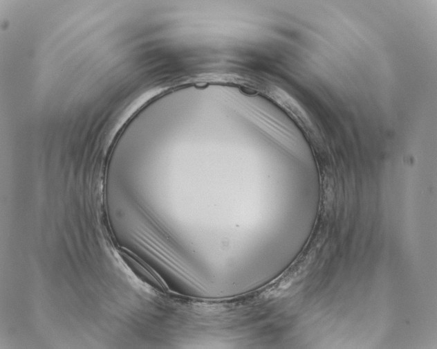 X0000088360852200706121053