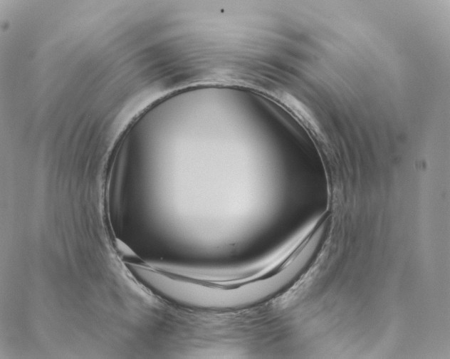 X0000088360854200706121053