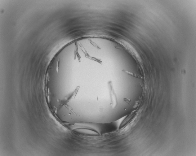 X0000088360855200706121053