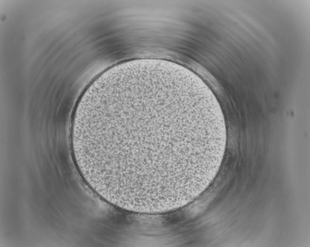 X0000088360856200706121053