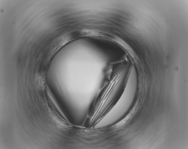 X0000088360857200706121053