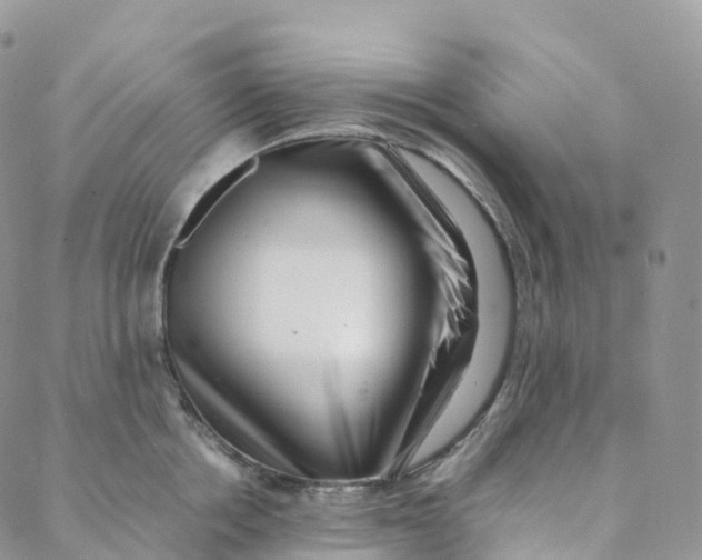 X0000088360858200706121053