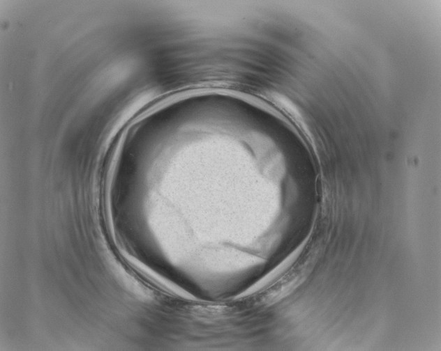 X0000088360859200706121053