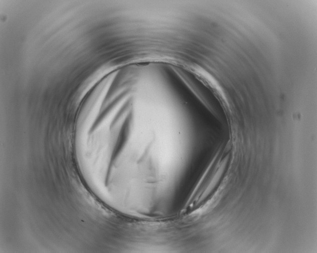 X0000088360860200706121053