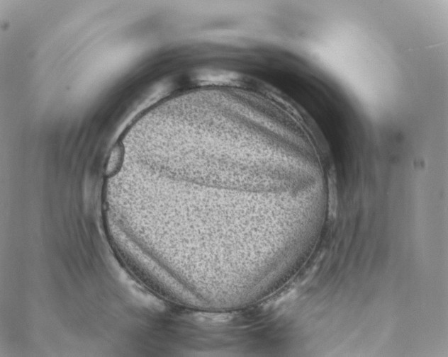 X0000088360861200706121053