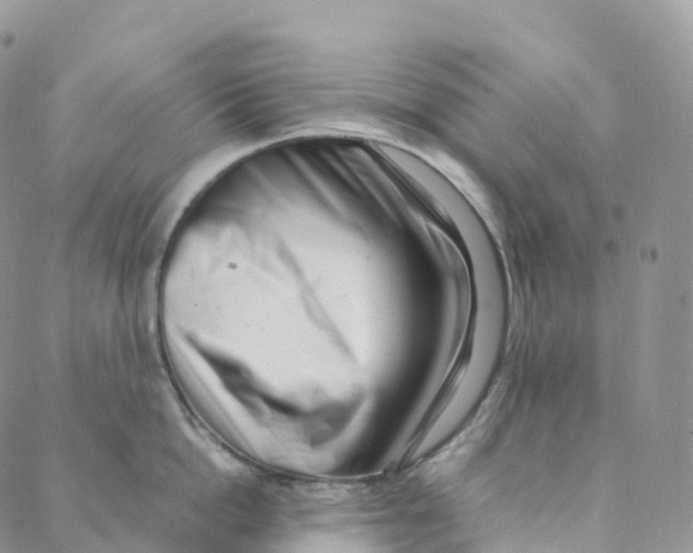 X0000088360862200706121053