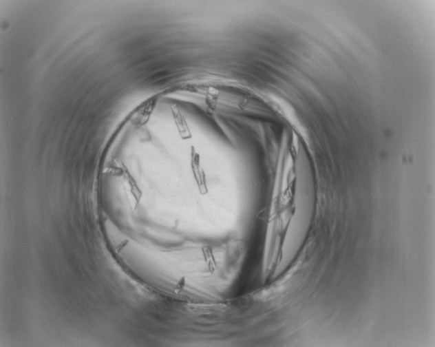 X0000088360863200706121053