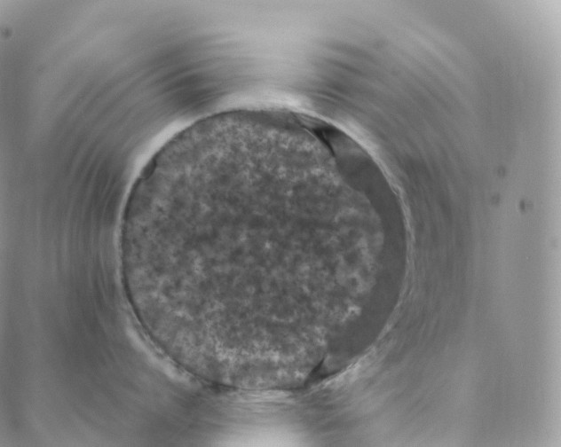 X0000088360864200706121053