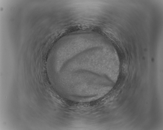 X0000088360865200706121053