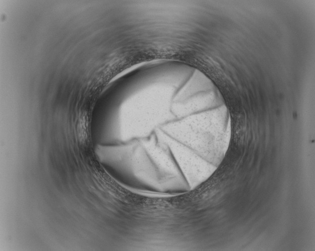 X0000088360866200706121053