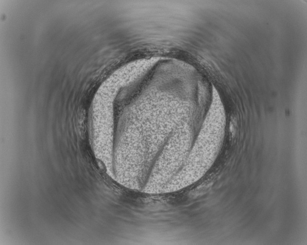 X0000088360867200706121052