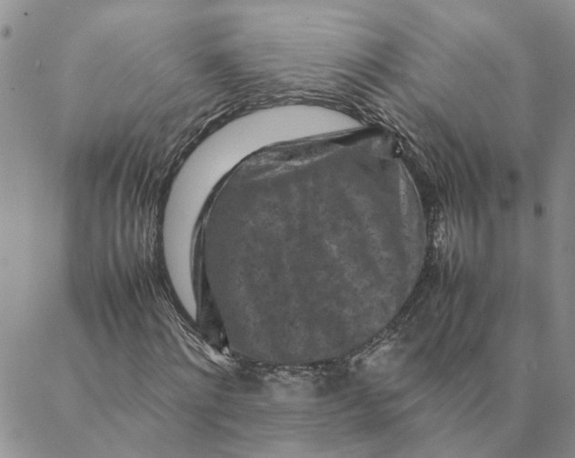 X0000088360868200706121052