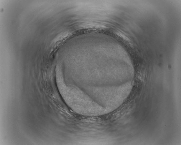 X0000088360869200706121052