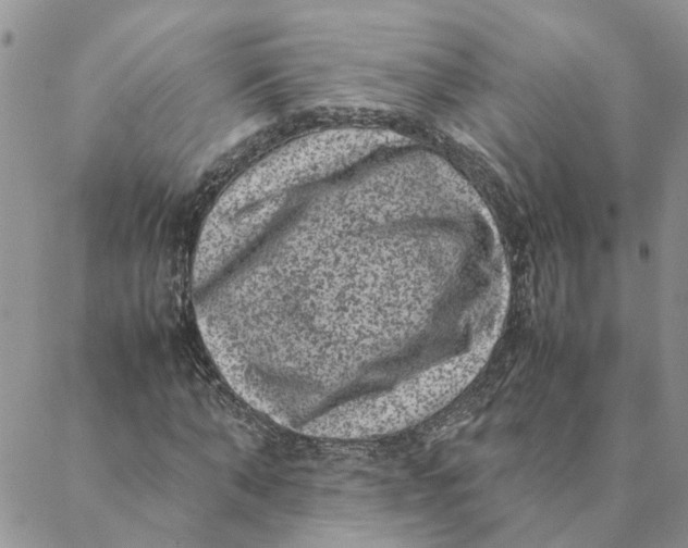 X0000088360870200706121052