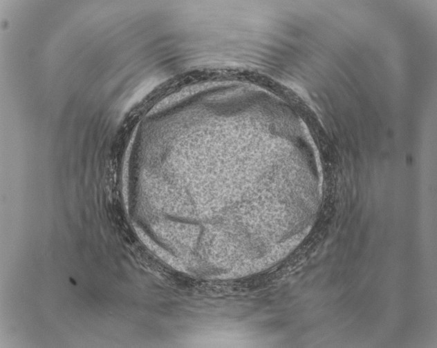 X0000088360871200706121052