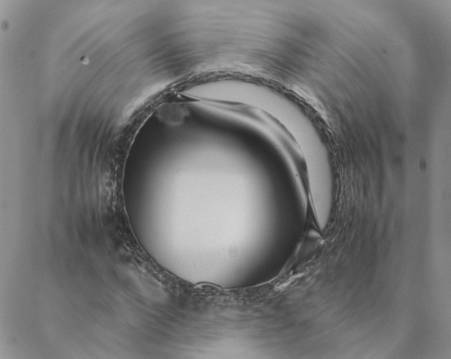 X0000088360872200706121052