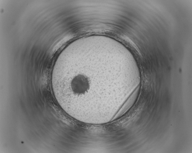 X0000088360874200706121052