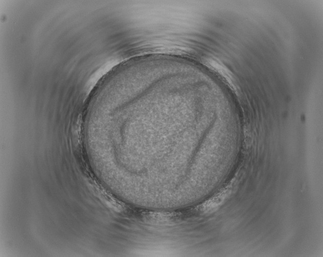 X0000088360875200706121052