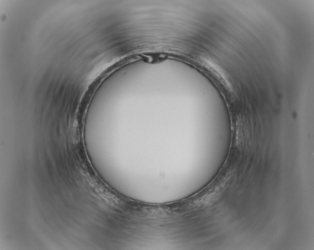 X0000088360876200706121052