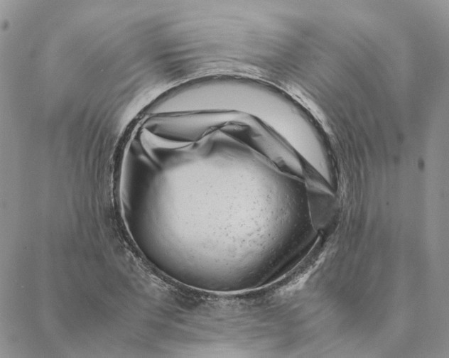 X0000088360877200706121052