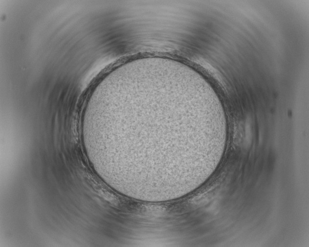 X0000088360878200706121052