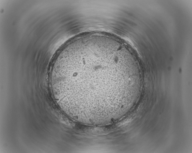 X0000088360879200706121052