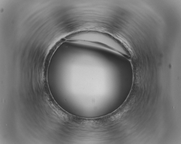 X0000088360880200706121052