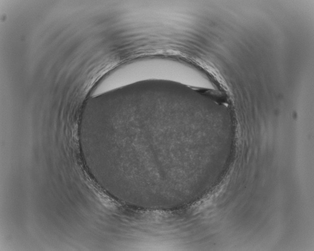 X0000088360881200706121052