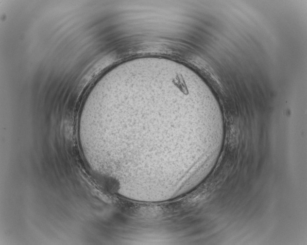 X0000088360882200706121052