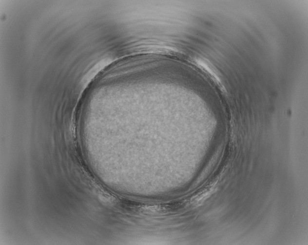 X0000088360883200706121052