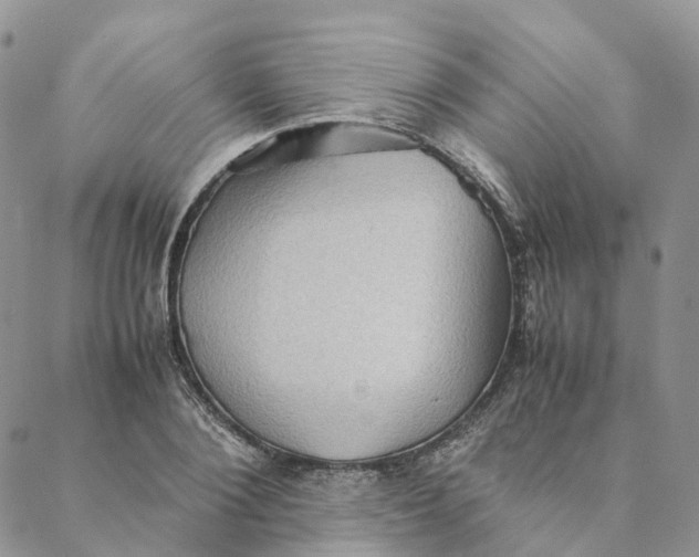 X0000088360884200706121052