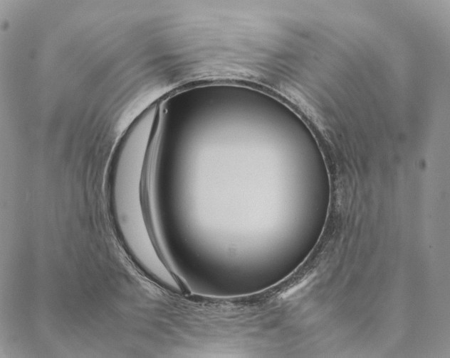 X0000088360885200706121052