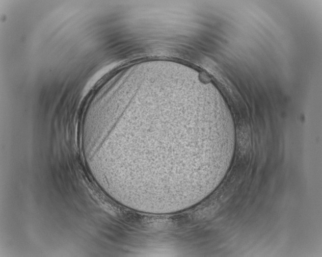 X0000088360886200706121052