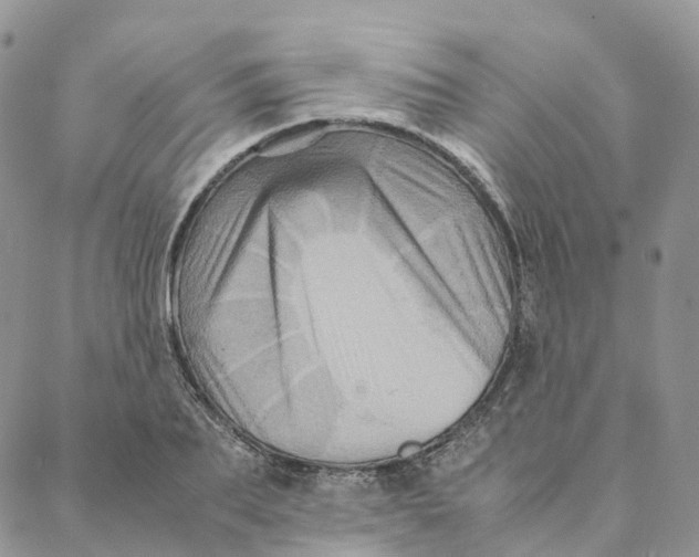 X0000088360887200706121052