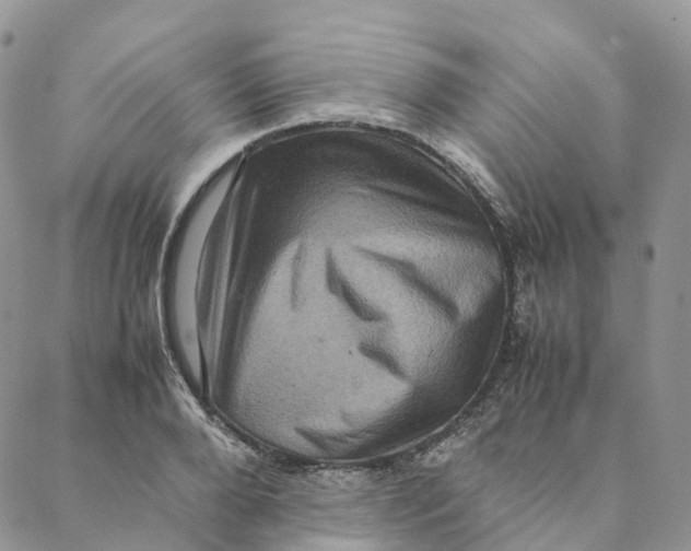 X0000088360888200706121052