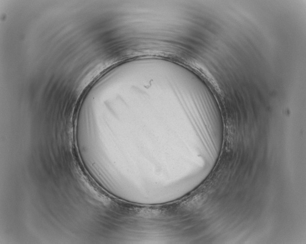 X0000088360890200706121052