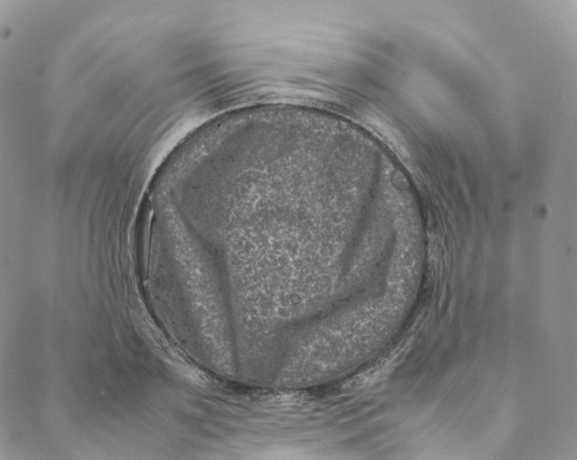 X0000088360891200706121052