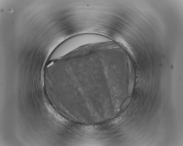 X0000088360892200706121052