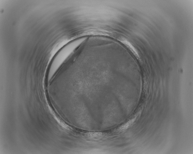 X0000088360893200706121052