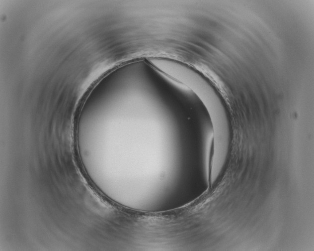 X0000088360894200706121052