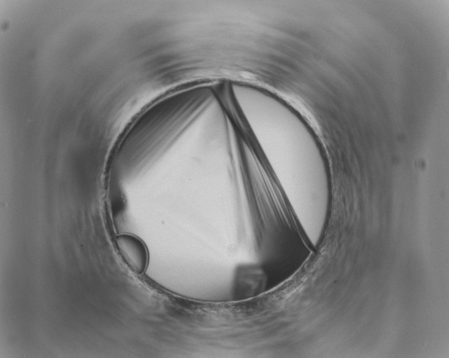 X0000088360895200706121052