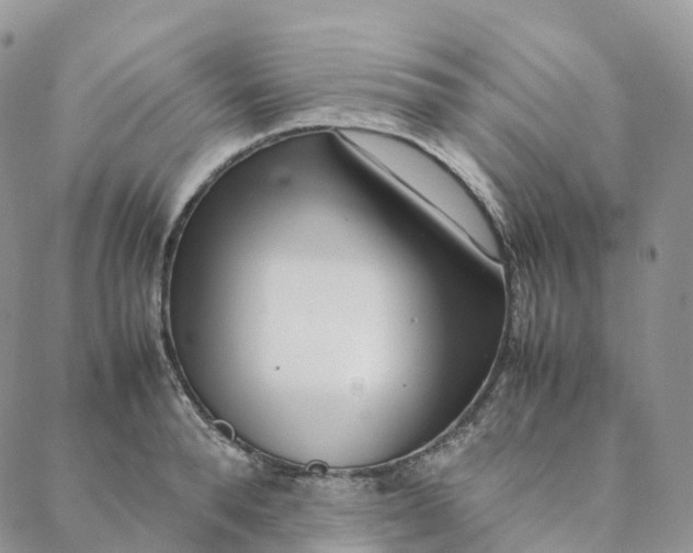 X0000088360896200706121052