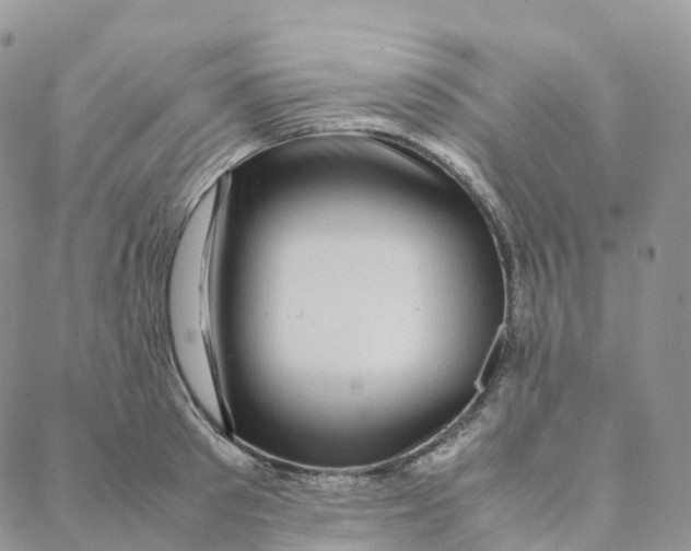 X0000088360897200706121052