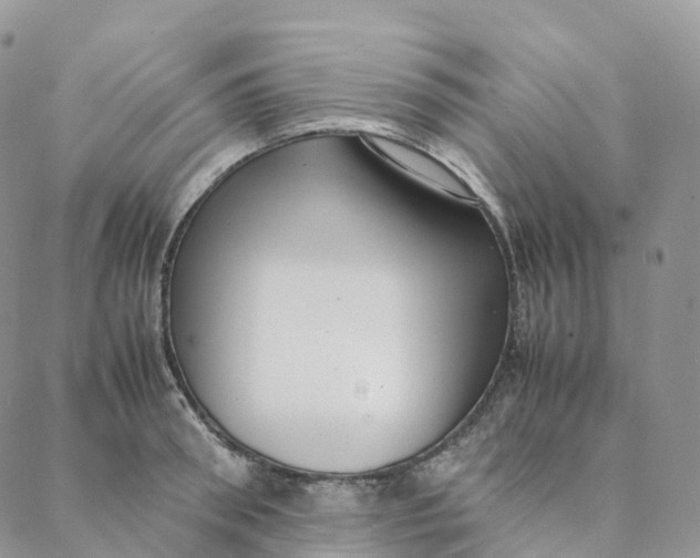 X0000088360898200706121052