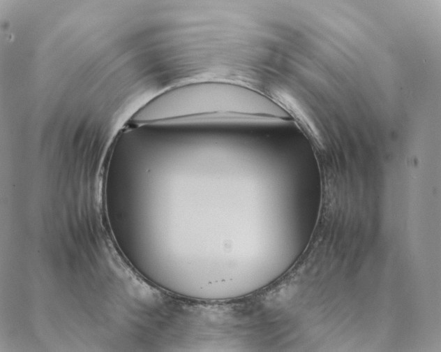 X0000088360900200706121052