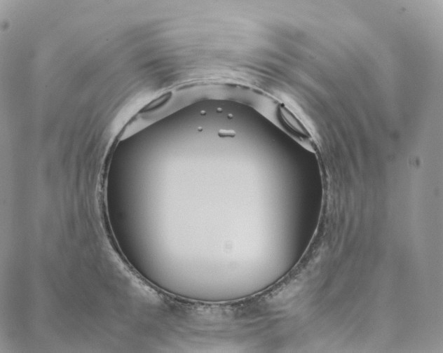 X0000088360901200706121052